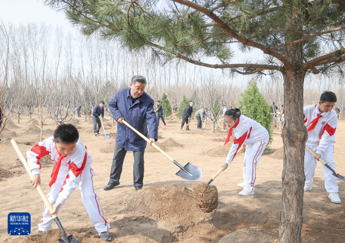 ylzz总站线路检测中心